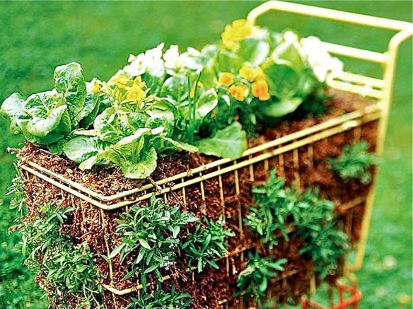 409411_349545915077795_965525365_n