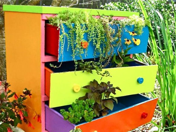 527872_439611892737863_1344726407_n