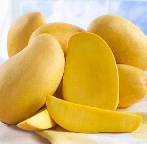 552983_320469241375834_975511405_n