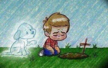 181883_521595167864626_1945743158_n