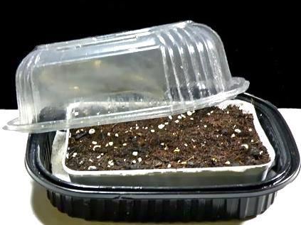 318018_458321894223428_141761027_n