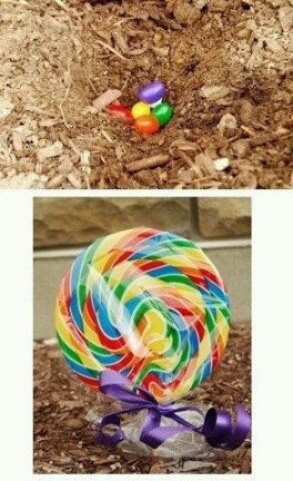 555114_478480305534822_1906957858_n