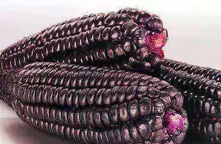 165408_449729031783187_485848608_n