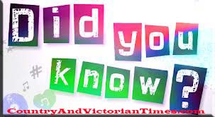 did you know interesting facts 43 bet you didn't know