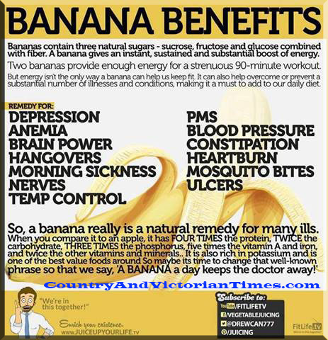 574445_10201366067102616_1099512451_n