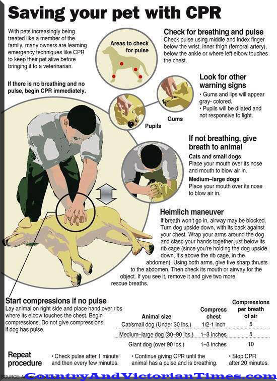 945565_10151533550888673_1447429433_n