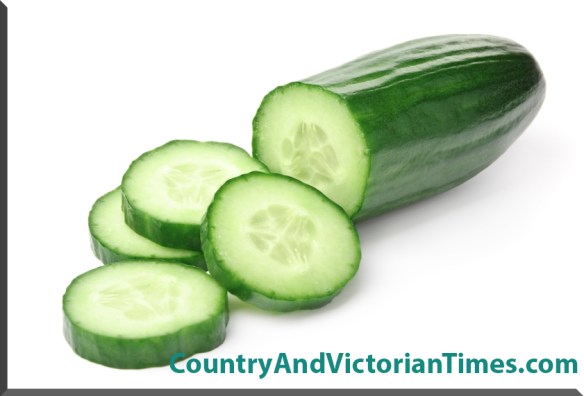 Cucumber on White
