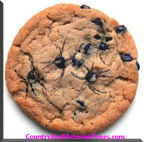 601541_558835470870013_411973246_n