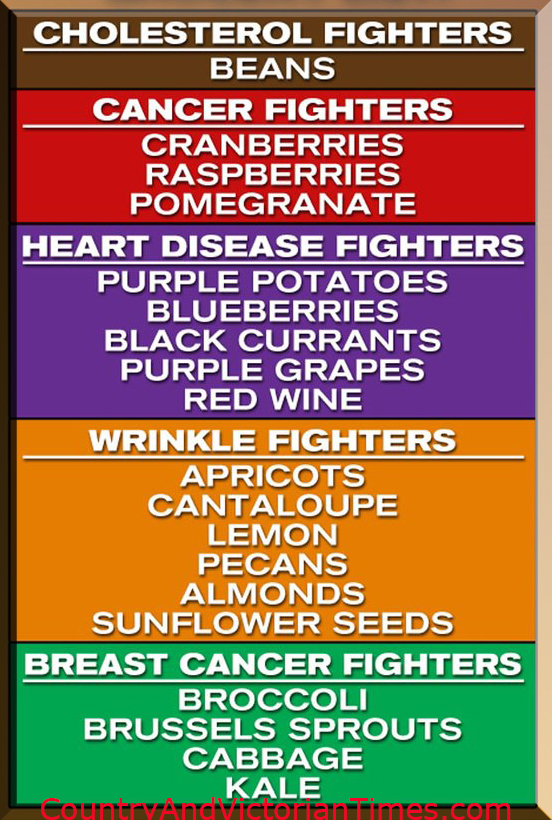 418737_145046702315633_574706780_n