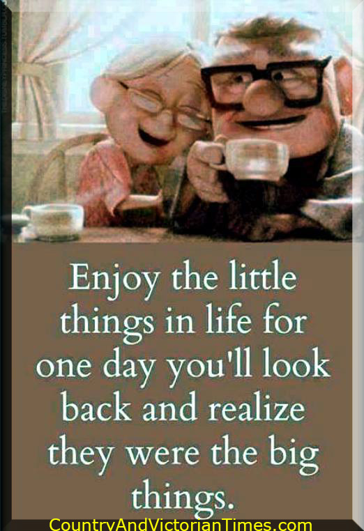 10172764_568458709940347_624552428_n