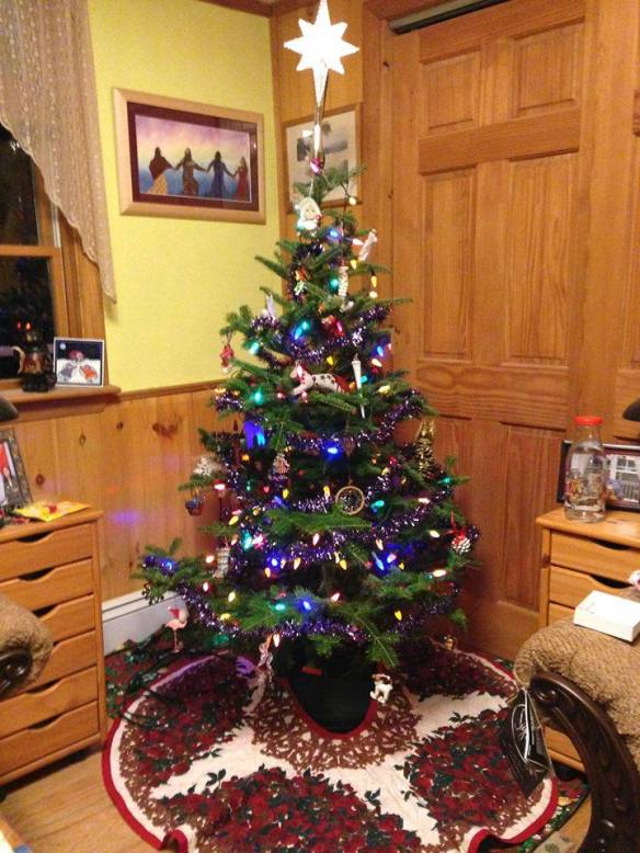 10245481_10152923576675619_1769350004290381148_n