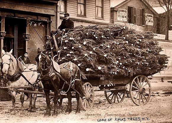 10405424_838602956199213_7251348291463915835_n