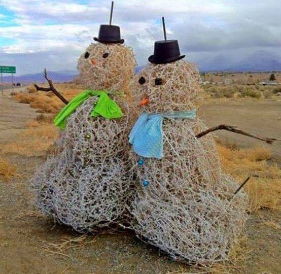 1508507_609471299117964_1804267105_n