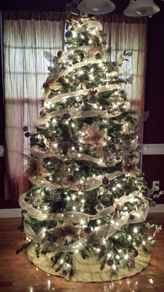 15865_820067254720040_4683103359771456453_n