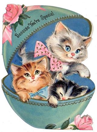 1510893_1560181900926384_1591593190799374694_n