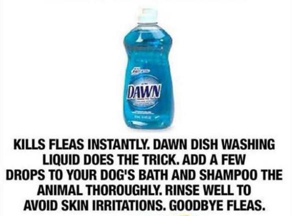 10403214_992221484131748_8798139267816579439_n