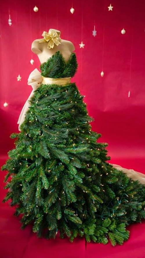 11202804_1100571903373092_5351303863162003283_n