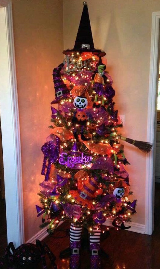 14316780_1760387040877943_8790616961509632377_n