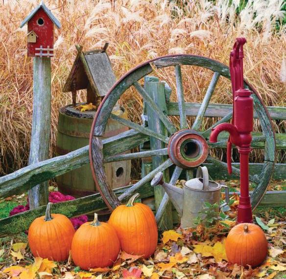 14440760_1143332072394281_5274399711708927620_n