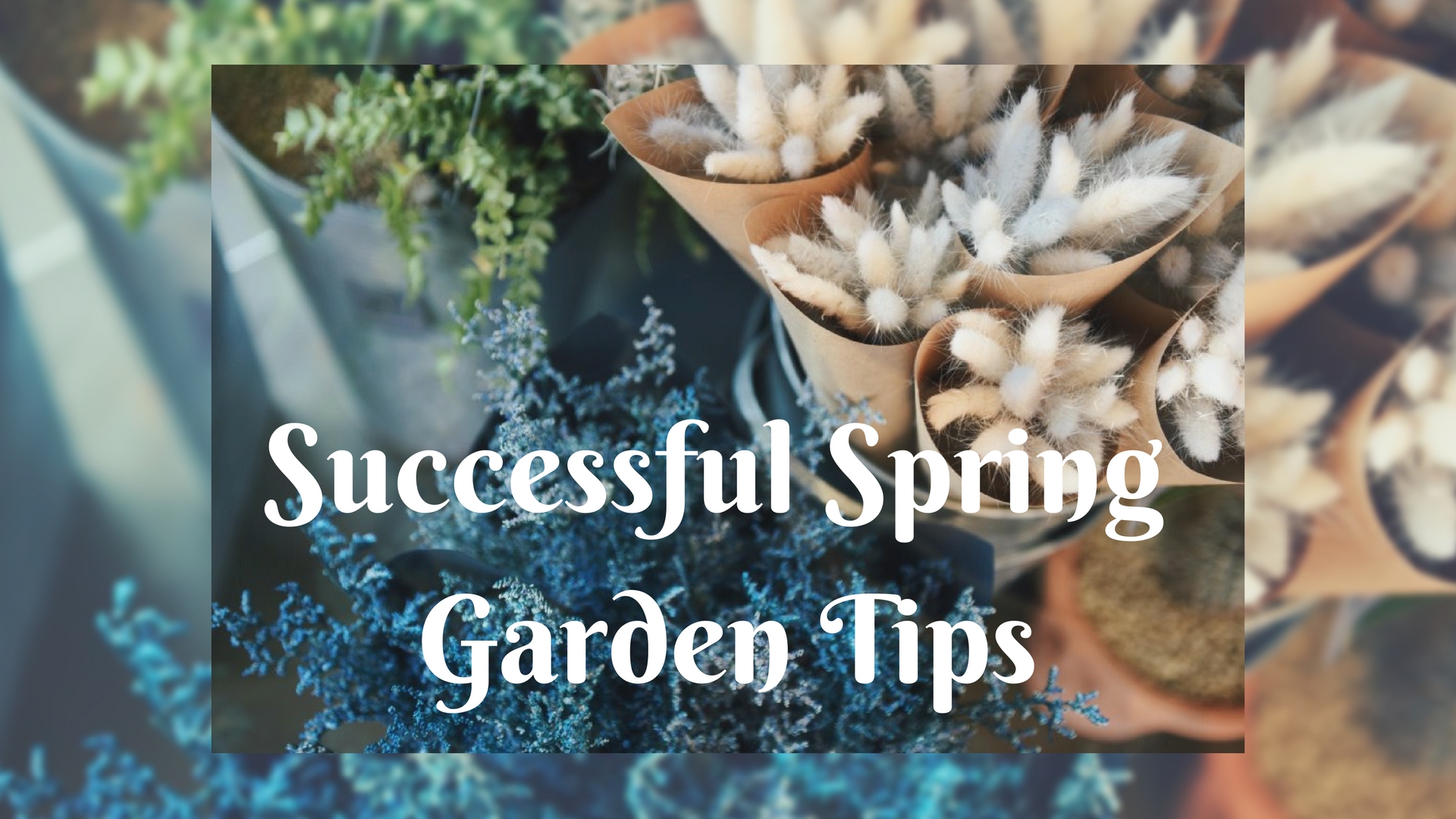 Successful Spring Gardening Tips | Country & Victorian Times